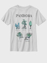 ZOOT.Fan Twentieth Century Fox Pandora Flora Sketches Kinder T-shirt