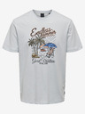 ONLY & SONS Alberto T-Shirt