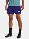 Under Armour UA Accelerate Shorts