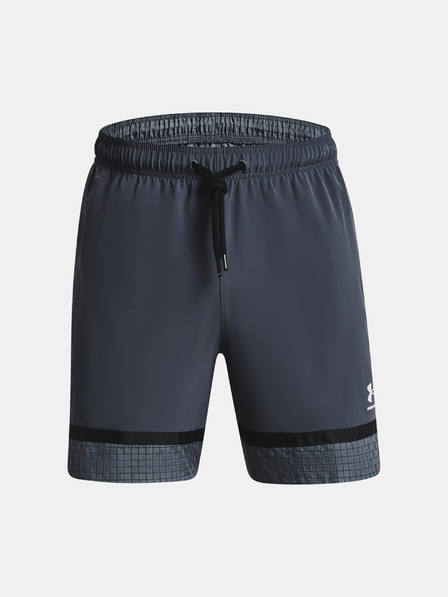 Under Armour UA Acc Woven Shorts