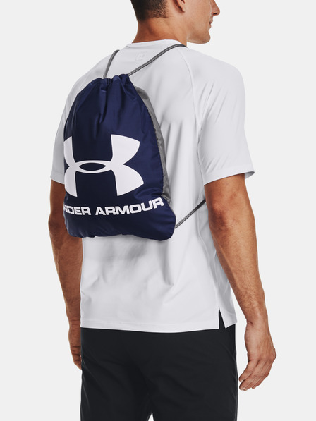 Under Armour Ozsee Rugzak