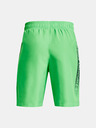 Under Armour UA Woven Graphic Kids shorts