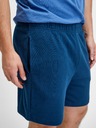 GAP Shorts
