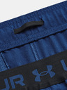 Under Armour UA Vanish Woven 6in Shorts