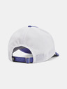 Under Armour Iso-Chill Driver Mesh Adj Petje