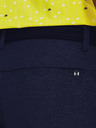 Under Armour UA Iso-Chill Airvent Shorts