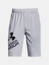 Under Armour Prototype 2.0 Logo Kids shorts