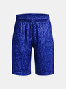 Under Armour UA Renegade 3.0 Prtd Kids shorts