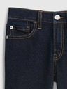 GAP Washwell Kinder Jeans