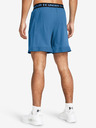 Under Armour UA Vanish Woven 6in Shorts