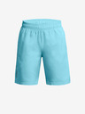 Under Armour UA Woven Wdmk Kids shorts