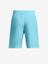 Under Armour UA Woven Wdmk Kids shorts