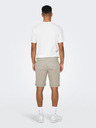 ONLY & SONS Peter Shorts