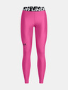 Under Armour UA HG Authentics Leggings