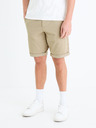 Celio Bochinobm Shorts