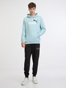 Puma ESS+ 2 Col Big Logo Hoodie TR Sweatshirt