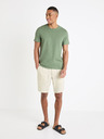 Celio Dolinusbm 30 Shorts