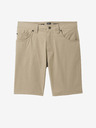 prAna Brion Short II Shorts