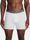 Under Armour UA Performance Cotton 6in 3-pack Hipsters
