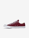 Converse Chuck Taylor All Star Sneakers