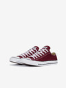 Converse Chuck Taylor All Star Sneakers