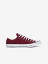 Converse Chuck Taylor All Star Sneakers