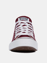 Converse Chuck Taylor All Star Sneakers