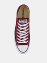 Converse Chuck Taylor All Star Sneakers