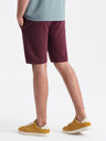 Ombre Clothing Shorts