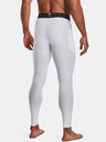 Under Armour HG Armour Leggings