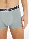 Tommy Hilfiger Underwear 3-pack Hipsters