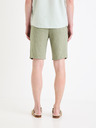 Celio Dolinusbm Shorts