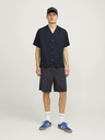 Jack & Jones Aaron Overhemd