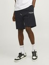 Jack & Jones Kane Shorts