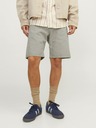 Jack & Jones Tony Shorts