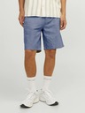 Jack & Jones Ace Shorts