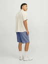 Jack & Jones Ace Shorts