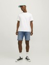 Jack & Jones Rick Shorts