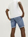 Jack & Jones Rick Shorts