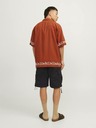 Jack & Jones Cole Shorts