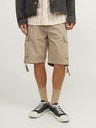 Jack & Jones Cole Shorts