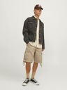 Jack & Jones Cole Shorts