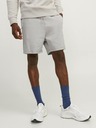 Jack & Jones Gordon Shorts