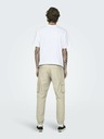 ONLY & SONS Cam Stage Broek