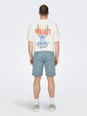 ONLY & SONS Peter Shorts