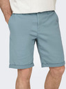 ONLY & SONS Peter Shorts