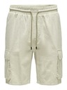 ONLY & SONS Sinus Shorts