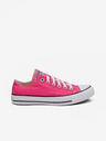 Converse Chuck Taylor All Star Sneakers