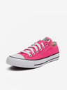 Converse Chuck Taylor All Star Sneakers