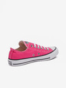 Converse Chuck Taylor All Star Sneakers